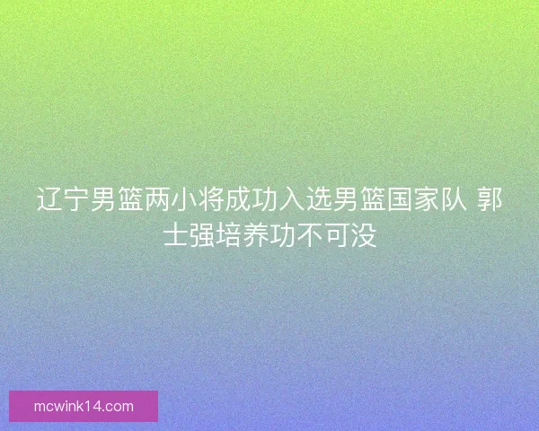 辽宁男篮两小将成功入选男篮国家队 郭士强培养功不可没